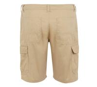 Regatta Mens Ruwan Casual Shorts RG10931