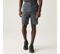 (44, Seal Grey) Regatta Mens Dalry Cargo Shorts
