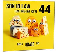 44th Son in Law Birthday Card - Cheese Pun Funny Son-in-laws Birthday Card for 44 Year old Forty Four, Forty Fourth
