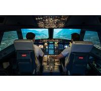45-Minute A320 Flight Simulator Experience for One