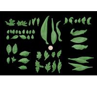 45 x Edible 3D Large Mixed Green Leaves Flowers icing toppers, cake cupcakes decorations (Bespoke)