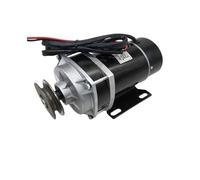 450W 24V/36V/48V Gear Reducing Pulley Motor Brushed DC Motor Small Medium Tricycle Electric Tricycle Engine(48V)