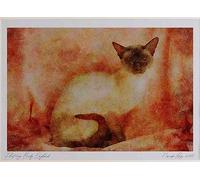 458085 Siamese, Chocolate Point Watercolour Picture Limited Edition A4