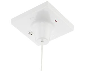 45A Dp + Ind Ceiling Sw 803-01