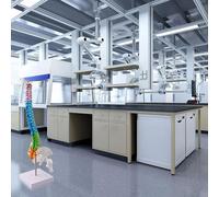 45CM Human Spine Model with Color-Coded Cervical/Thoracic/Lumbar/Sacral/Coccygeal Regions for Anatomy Teaching, PVC Educational Display Model for(45cm)