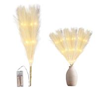 45cm Prelit Cream Pampas Grass Stem, Warm White LEDs Battery-Operated Christmas Artificial Flowers for Boho Wedding Bedroom Living Room Decorations