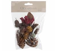 45g Natural Dried Mix Bag - Acorns, Pine Cones, Leaves and Berries - Christmas