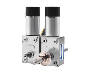 4632-370 Double Shaft High Torque DC 6V 12V 24V Worm Gear Motor 1Pcs(6v 10rpm,A)