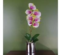46cm Artificial Orchid Harlequin Pink with Silver Pot Leaf Pink One Size