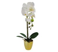 46cm Artificial Orchid Dark White / Silver Leaf White One Size