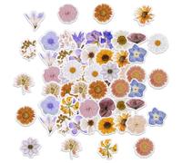 46PCS Watercolor Flowers and Plants Stickers,Flowers Theme Stickers for Scrapbooking, DIY Crafts, Laptops,Journal,Gifts for Kids Teens Girls Adults