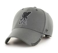 Liverpool FC Baseball Cap LFC Defrost Charcoal Logo 194165322357
