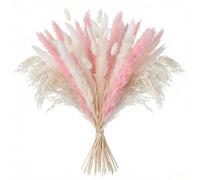 47 Pcs Natural Dried Pampas Grass Bouquet Set - Boho Home Decor Dried Flowers for Vases,DIY Floral Arrangements,Wedding & Table Decoration,4 Kinds of Dried Grasses & Flowers