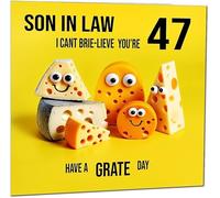 47th Son in Law Birthday Card - Cheese Pun Funny Son-in-laws Birthday Card for 47 Year old forty forty seven, forty seventh