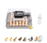 48 Egg Incubator with Auto Turn & Humidity Control, 360° View Poultry Hatcher for Chicken/Duck/Turkey/Quail Eggs - Incubator for Hatching Eggs