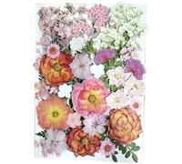 48 Pcs Natural Dried Pressed Flowers and Leaves, Real Pressed Floral Bulk Kit for Resin Jewelry Making, Candle Soap Crafting, Scrapbooking, Nail Art, Phone Case DIY Decor