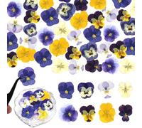 48 Pcs Natural Dried Pressed Flowers for Cake Topper Decorating - Mix Viola Tricolor for Cupcake Toppers, Cocktails, Resin Jewelry Making, DIY Art Crafts