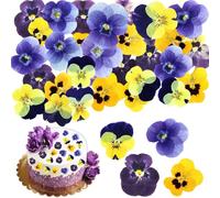 48-Piece Natural Pressed Flowers Set - Dried Real Flowers for Cake Decorating, Resin Jewelry, Scrapbooking & DIY Crafts (Mixed Colors & Varieties)