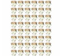 48-Piece Set Storage Jar with Wire Closure 500ml | Wire Closure Mason Jar