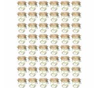 48-Piece Set Storage Jar with Wire Closure 500ml | Wire Closure Mason Jar