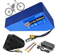 48 V Ebike Triangle Battery 20 Ah - 45 Ah Lithium Electric Bike with Charger + Bag for DIY/Mountain/Road 0-1800 W Motor