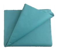 480 Sheets Turquoise MG Tissue Paper 20x30 Inches, (1 Ream) Acid Free Craft Art