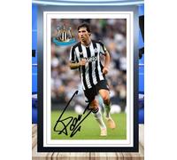 (485) Sandro Tonali Newcastle United Legend Signed Framed Autograph Signature A4 (21 X 297 CM) Art Work Wall Art Display Great Gift Idea (REPRINT) #####