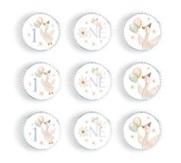 48PCS Edible One Silly Goose Cupcake ToppersGoose 1st Birthday Cupcake Picks Funny Cake Decorations for Baby Shower Boys Girls First Birthday Party Decorations