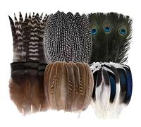 48Pcs Feathers Decorations,6 Different Shape Natural Craft Feathers Assorted Colors Peacock Feather for Hats Colorful Real Feathers Accessories for Feathers Accessories DIY Decorations