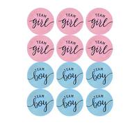 48pcs Gender Reveal Decoration Party Stickers, Sparkly Silver Letter Labels for Baby Shower Fun, Boy or Girl Team Tags for Gender Party Celebrations and Games