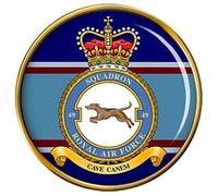 49 Squadron, RAF Pin Badge