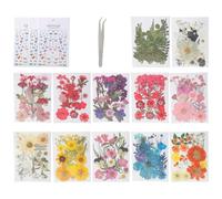 495Pieces Pressed Floral Craft Supplies Set Dried Flower And Butterfly Stickers For Artisanal Projects And Craft Decors Making Dried Floral Supplies
