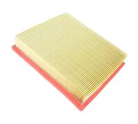 496170 Main Filter for Festool for CT 26 for CT 36 for CT 48 Vacuum/Extractor - Abs Dust Filter 22 X 19 X 4.5 Cm Yellow Compatible Having Ctl 11 Over 11 E/22/22 E