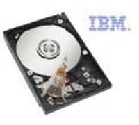 49Y2007 IBM 600 GB 10K RPM From Factor 2.5 Inches Hot Swap SCSI S