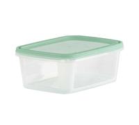 (4cm x 11cm, Green) Wham Everyday Food Storage Box (Pack of 5)