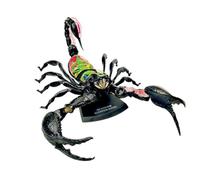 4D Anatomy Model Scorpion Anatomy Model with Removable 29 Parts Orga, Insect Animal Anatomy Model Toys Insect Model 33 * 21 * 10cm, Scorpion Organs Model