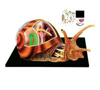 4D Animal Anatomy Model Kit, 32 Organs and Skeleton for Education | 4D Animal Anatomy Model Kit for Educational Use, Featuring 32 Organs and Skeleton for Interactive Learning and Study