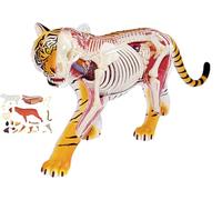 4D Animal Anatomy Model Kit, Tiger Skeleton for Biology Teaching | 4D Animal Anatomy Model Kit, Interactive Tiger Skeleton for Educational Biology Lessons and Engaging Science Learning