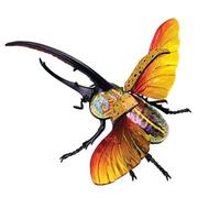 4D Beetle Anatomical Model - Detailed Biological Organ Model | Engaging 4D model for hands-on learning and exploration of anatomy.