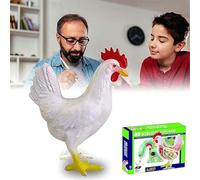 4D Chicken Anatomy Model, Disassemblable 32-Part Animal Skeleton for Veterinary and Medical Education