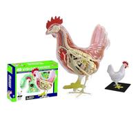 4D Chicken Skeleton Anatomy Model, Animal Anatomical Model, Detachable 32 Parts, Intelligence Puzzle Assembly Toy Kit