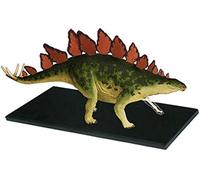 4D Dinosaur Anatomy Model, Stegosaurus Anatomical Model, Detachable 39 Parts Animal Dinosaur Organ Medical Teaching Model for Medical Educational Training Aid.