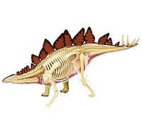 4D Dinosaur Anatomy Model, Stegosaurus Anatomical Model, Detachable 39 Parts Animal Organ Teaching Model for Educational Training Aid
