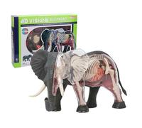 4D Elephant Anatomical Model, Elephant Skeleton, Elephant, Animal Bone Specimens, Removable Biology, 27 Parts, Animal Teaching Demonstration