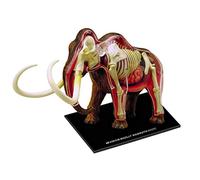 4D Elephant Model - Animal Mode - Elephant Anatomical Puzzle Toy Detachable 30 Parts Biological Animal Medical Teaching Model