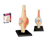 4D Knee Joint Model, Flexible Knee Model with Ligaments & Stand, Model of Human Knee Articulation 23 Detachable Parts Model of Medical Teaching
