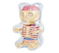4D Master Baby Gummi Bear Skeleton Anatomy Model