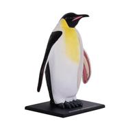 4D Penguin Anatomical Model, Penguin Skeleton Animal Bone Specimens, Removable Biology 34 Parts, Animal Teaching Demonstration