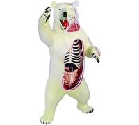 4D Polar Bear Anatomy Model, 36 Detachable Parts, Polar Bear Organ Skeleton Model, Animal Anatomy Model, for Biology Animal Medical Teaching