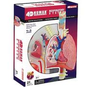 4D Respiratory System Model - Anatomical Human Heart and Lungs Model with 21 Removable Parts for Medical Teaching